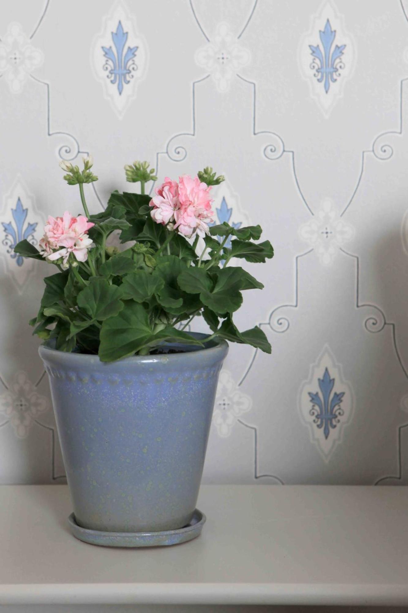 Agda Lund Bed & Breakfast Чивик Екстериор снимка